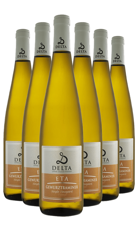 שישיית דלתא אטא גווירצטרמינר